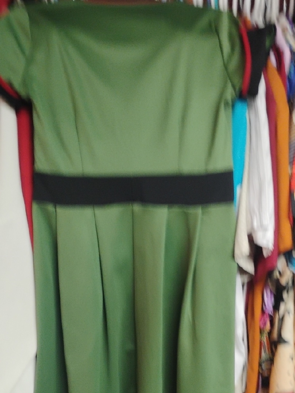 Sourpuss Olive Green Fit-and-Flare Dress with Black Waist and Red Trim - Picture 5 of 6